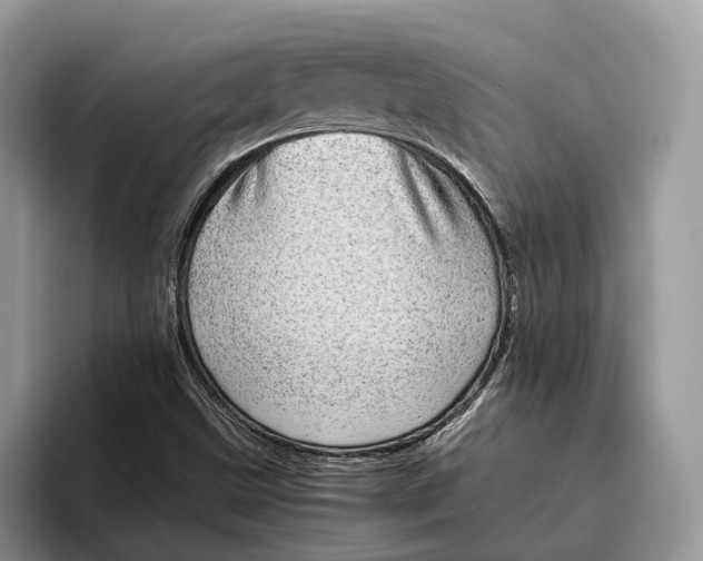 X0000095941499200802011030