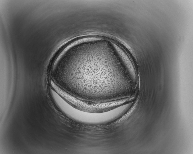 X0000095941501200802011030