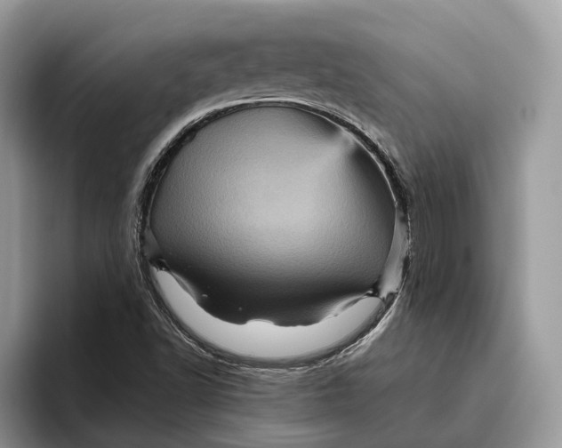 X0000095941502200802011031