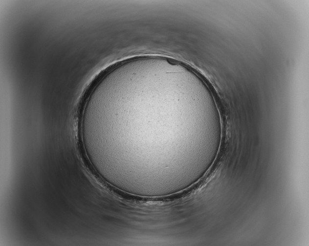 X0000095941503200802011031