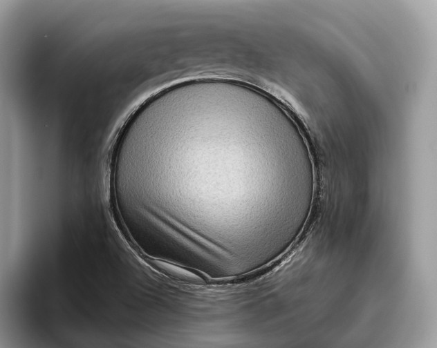 X0000095941504200802011031