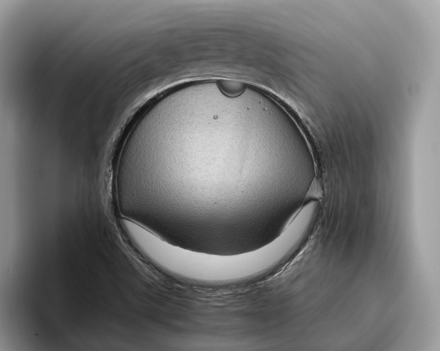 X0000095941507200802011031