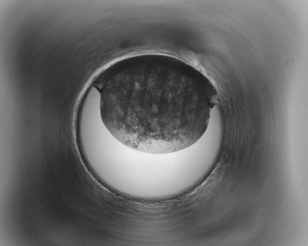 X0000095941508200802011031