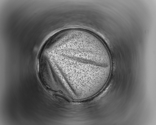 X0000095941509200802011031