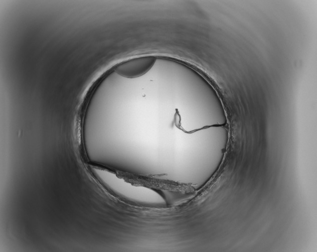 X0000095941510200802011031