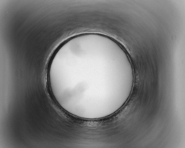 X0000095941511200802011031