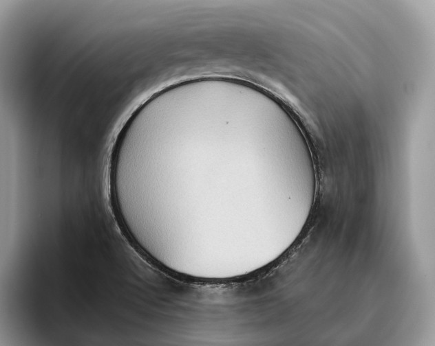 X0000095941512200802011031