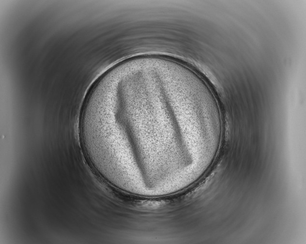 X0000095941513200802011031