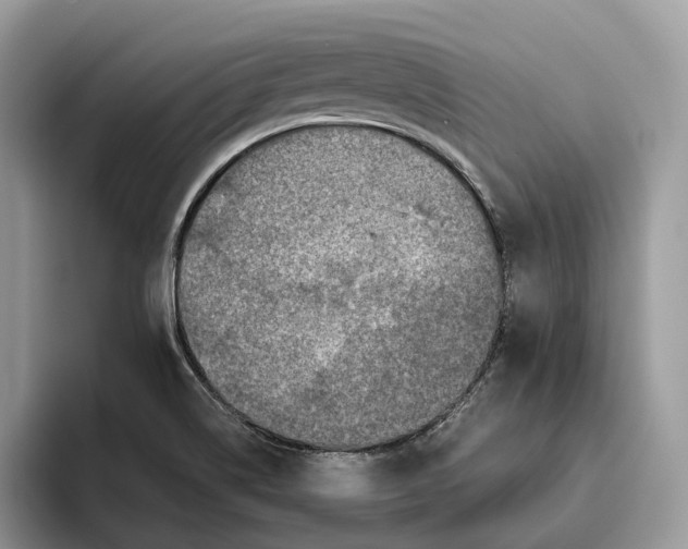 X0000095941514200802011031