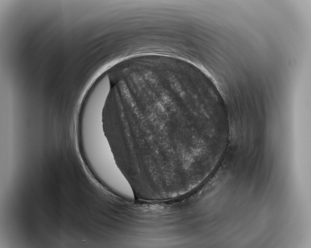 X0000095941515200802011031