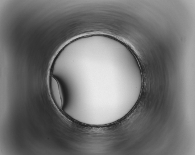 X0000095941516200802011031