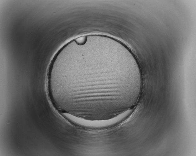 X0000095941518200802011031