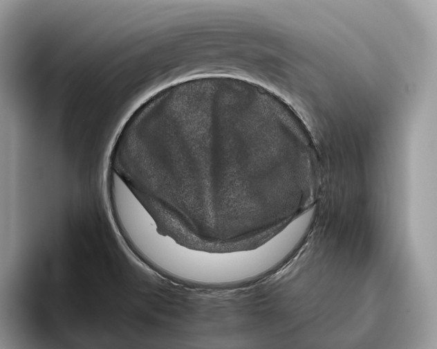 X0000095941519200802011031