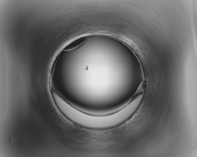 X0000095941520200802011031