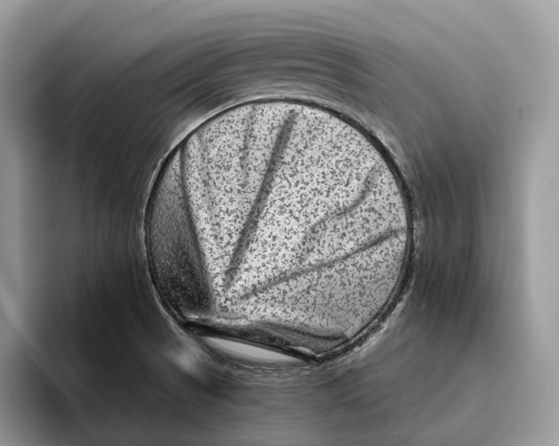 X0000095941521200802011031