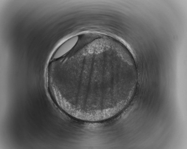 X0000095941522200802011031