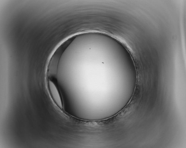 X0000095941524200802011031