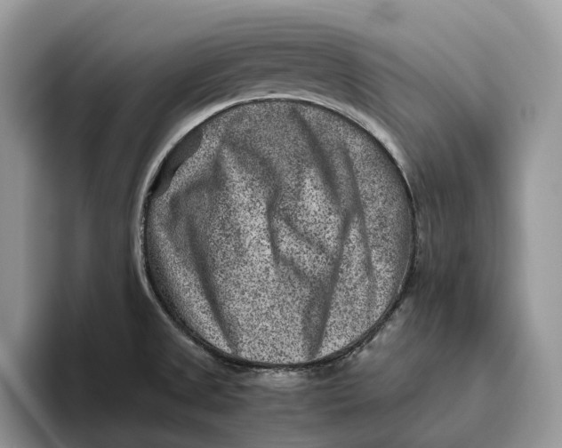 X0000095941525200802011031