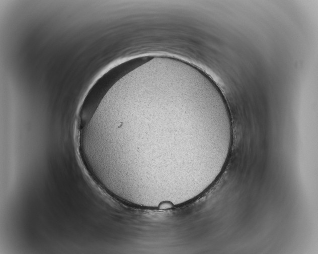 X0000095941526200802011031