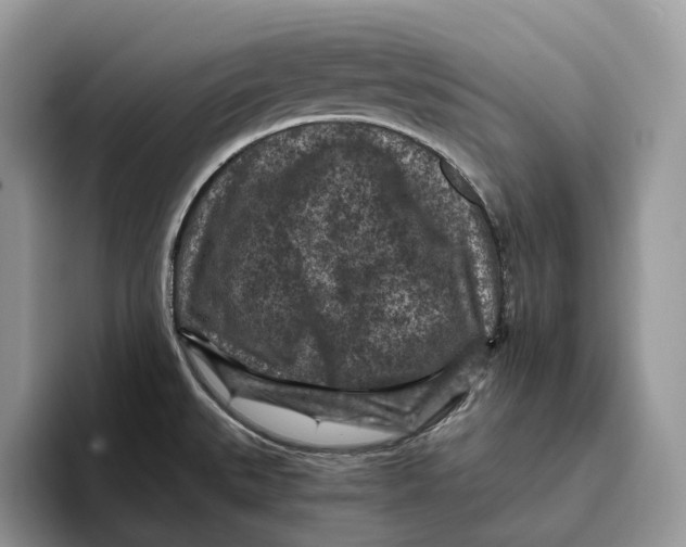 X0000095941527200802011031