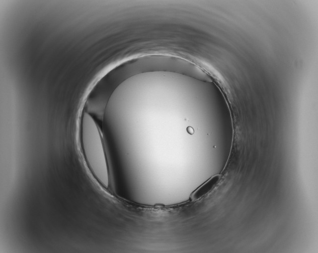 X0000095941528200802011031