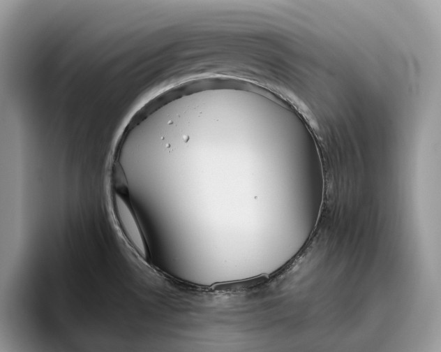 X0000095941530200802011031