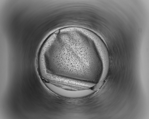 X0000095941531200802011031