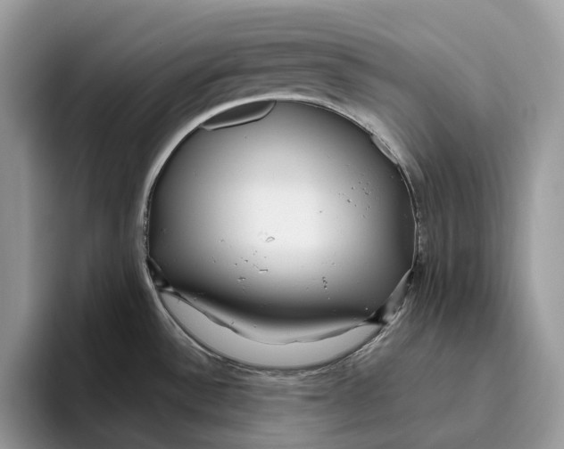 X0000095941532200802011031