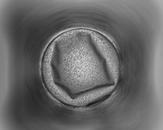 X0000095941535200802011031