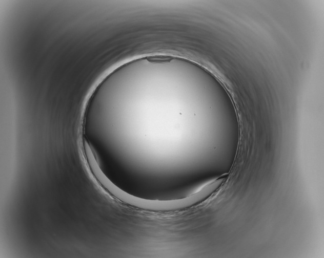 X0000095941536200802011031