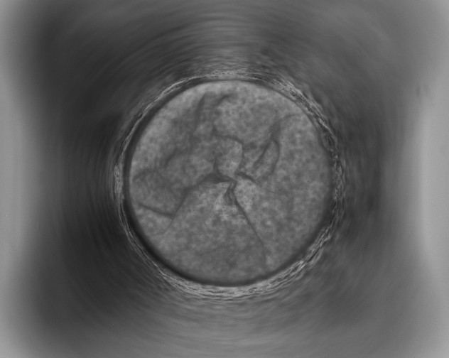 X0000095940002200802081246