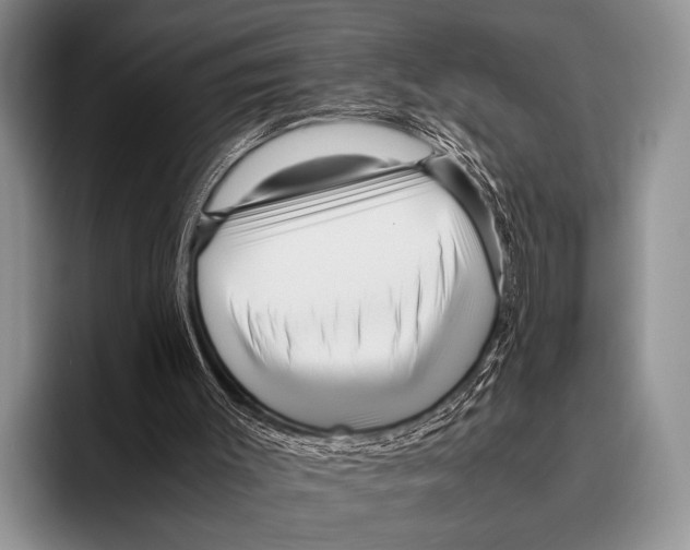 X0000095940003200802081246