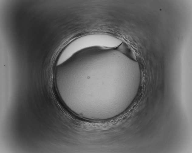 X0000095940005200802081246