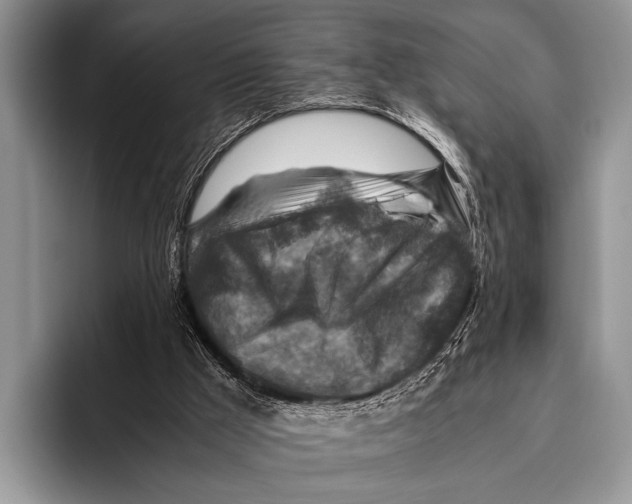 X0000095940009200802081246