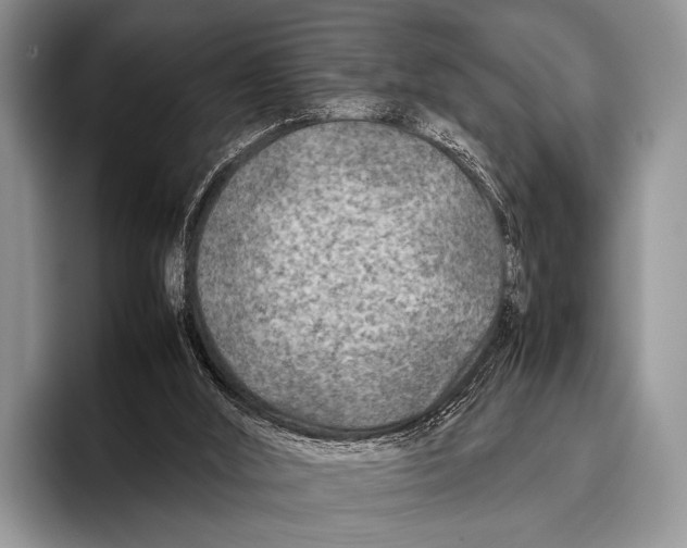 X0000095940012200802081246