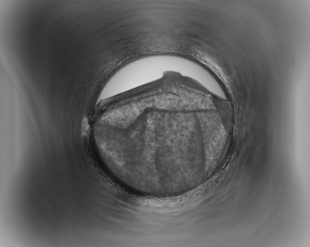 X0000095940017200802081246