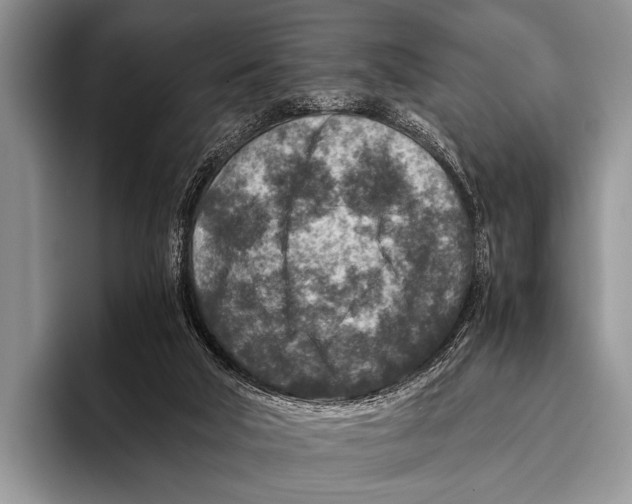 X0000095940018200802081246