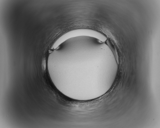 X0000095940021200802081246