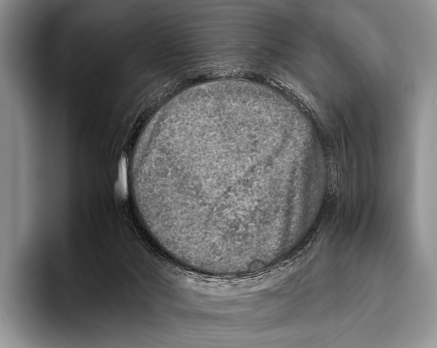 X0000095940022200802081246