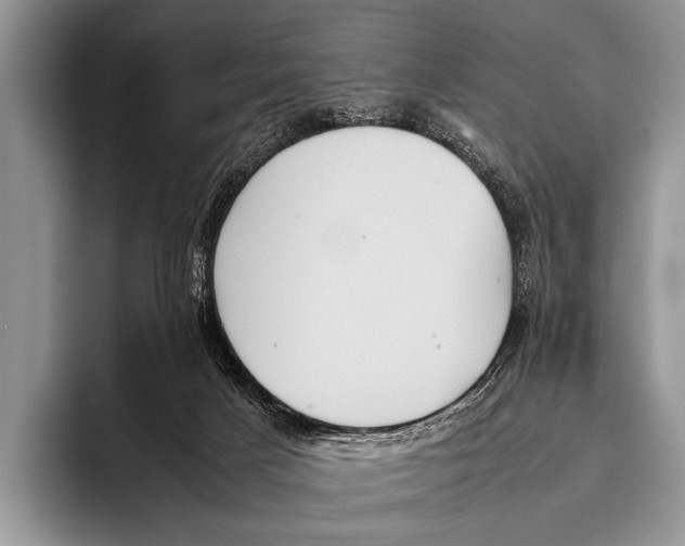 X0000095940025200802081246