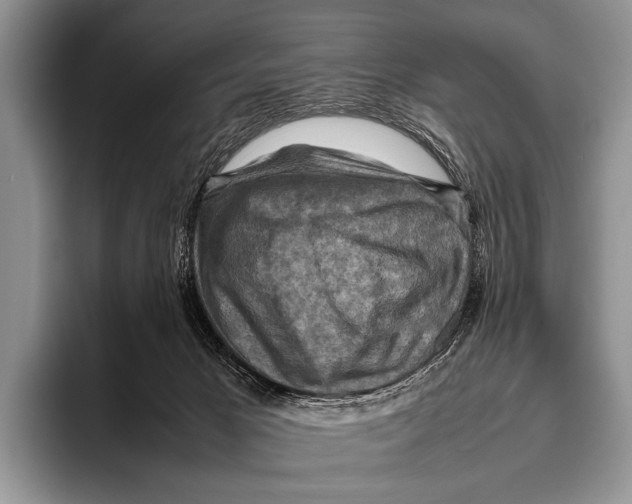 X0000095940029200802081246