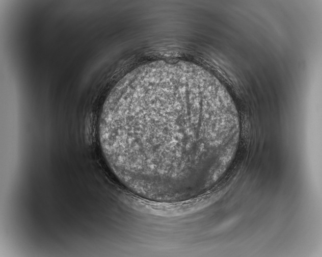 X0000095940030200802081246