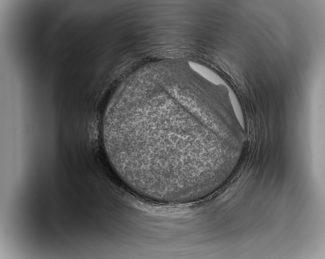 X0000095940032200802081246