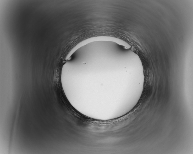 X0000095940033200802081246