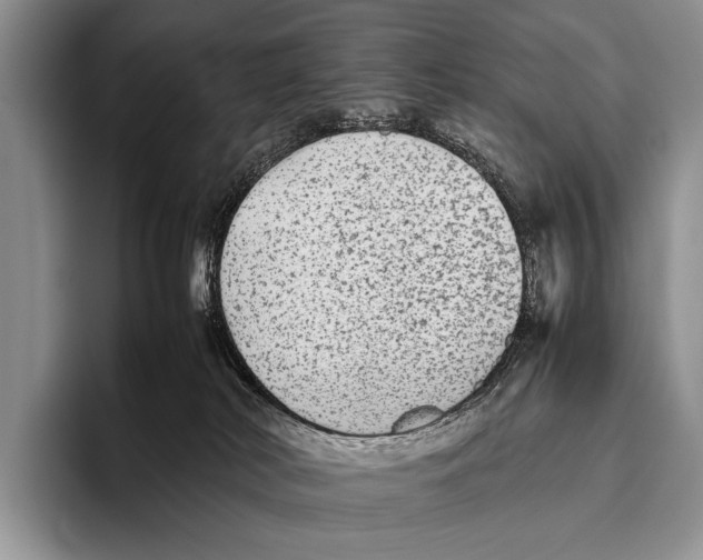 X0000095940038200802081246