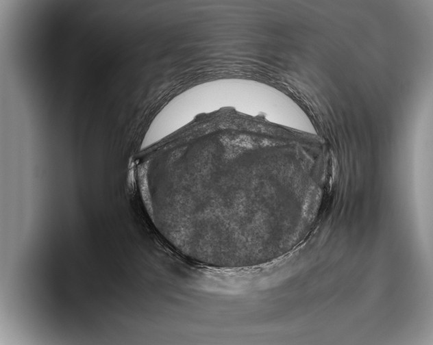 X0000095940041200802081246