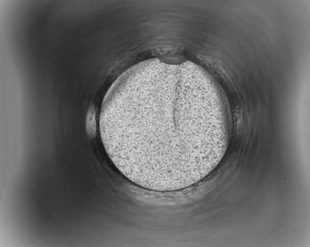 X0000095940042200802081246