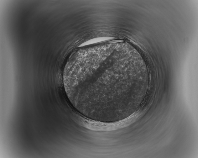 X0000095940048200802081246