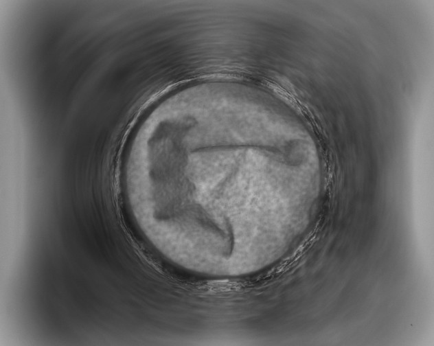 X0000095940050200802081245