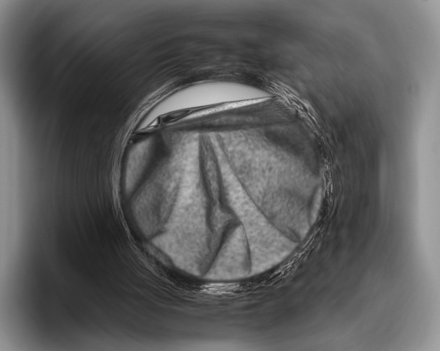 X0000095940051200802081245